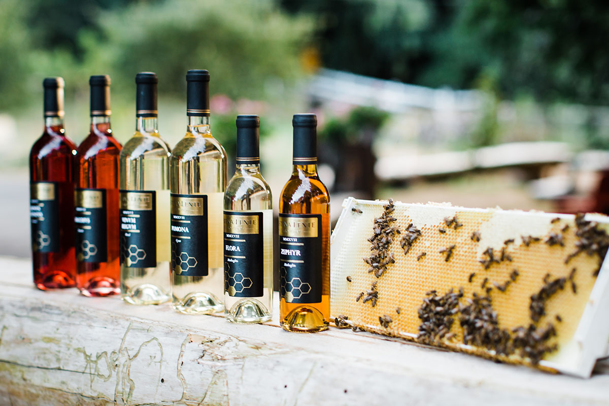 Make Your Wine Tasting Unforgettable with Our Winery Limo Service