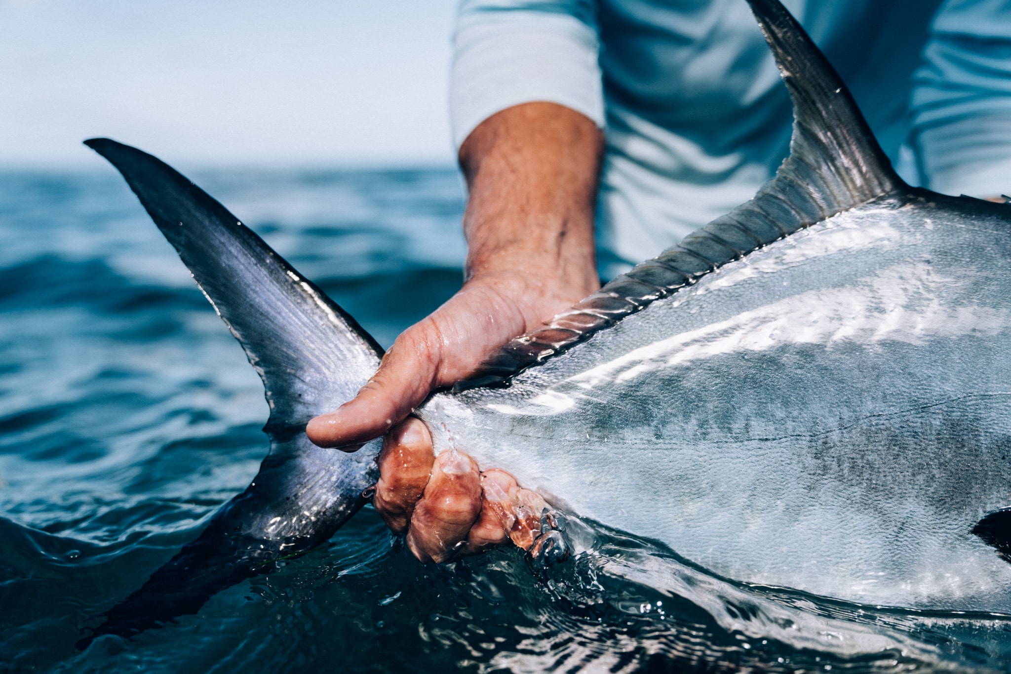 Top Fly Fishing Lessons Near Me for Beginners
