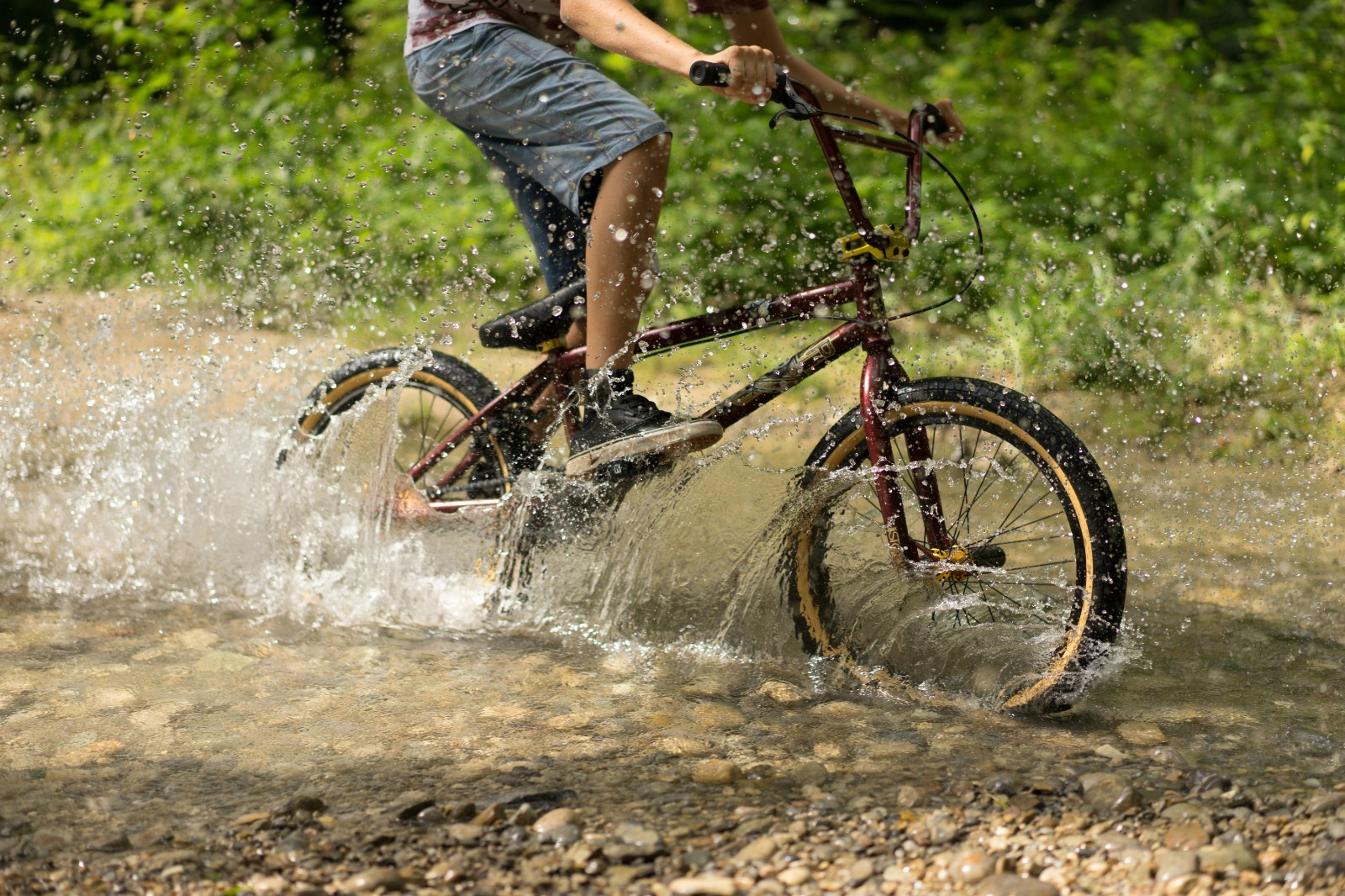 Cool Bike Trails Near Me with Beautiful Natural Surroundings