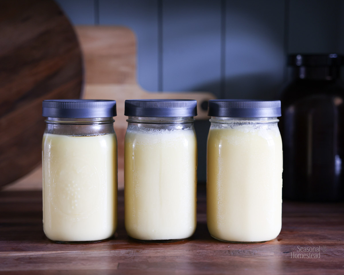 Recette DIY : masque facial à base de Beef Tallow for face