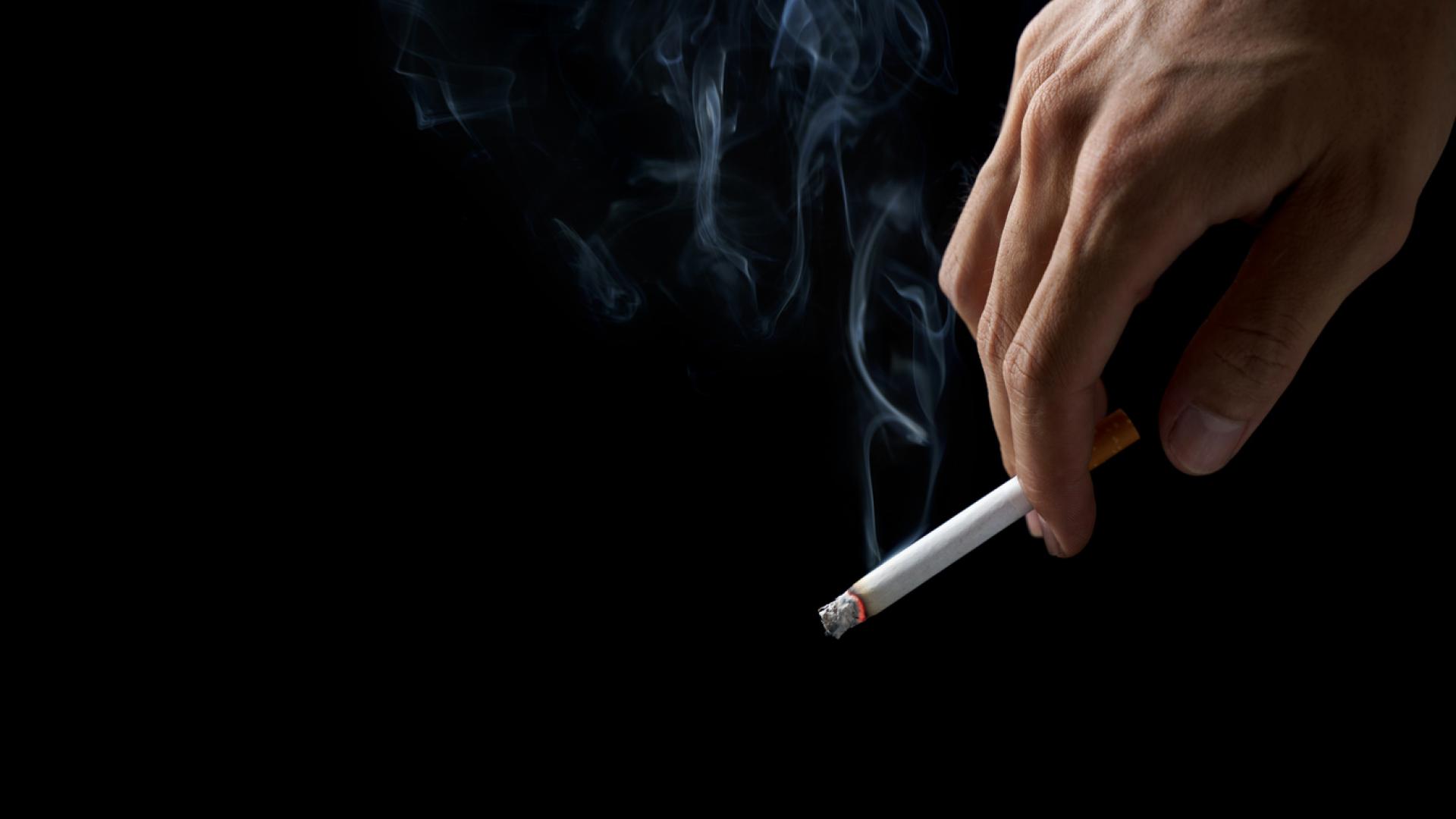 My Native Smokes: Your Go-To Source for Native Smokes