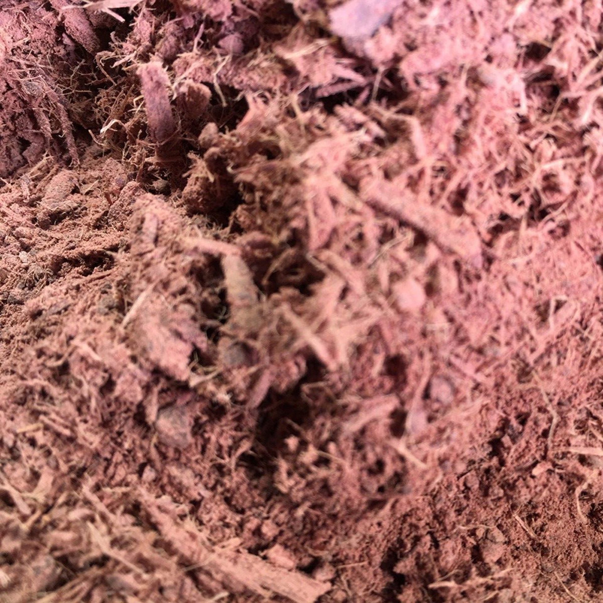 Artisan-Grade Woad Dye for Sale – Vibrant Blue from Nature