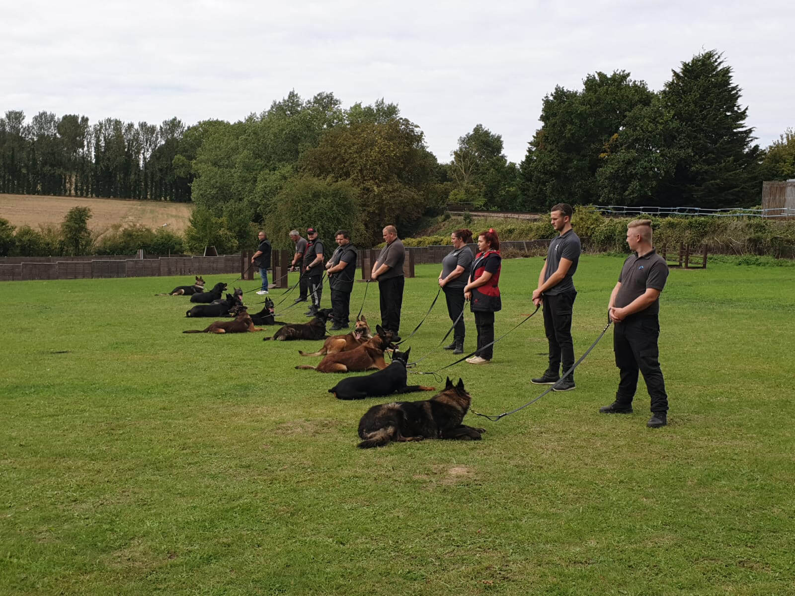 Security Dog Services West Bromwich – Professional K9 Security Teams