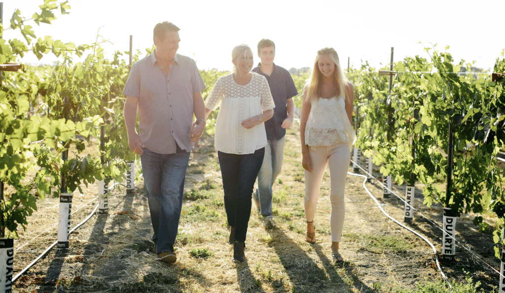 Discover the Best Things to Do in Clarksburg California