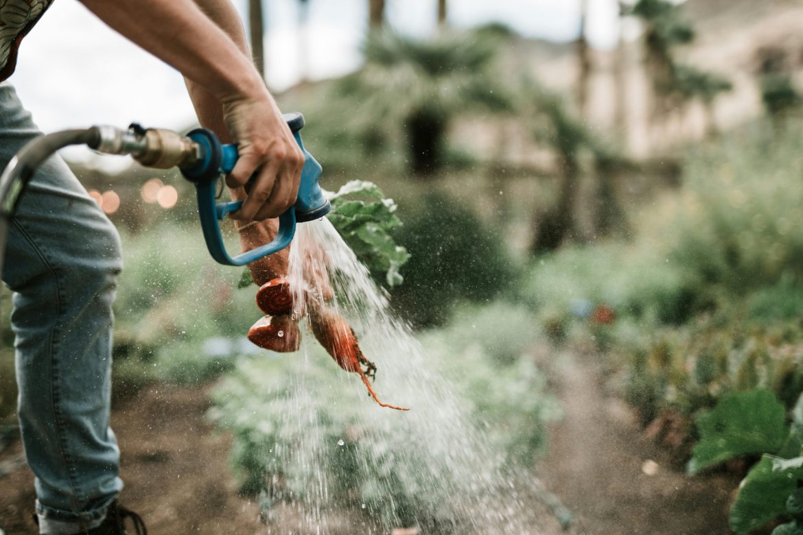 PROFESSIONAL IRRIGATION SERVICES IN KELLER, TX THAT EXCEED EXPECTATIONS